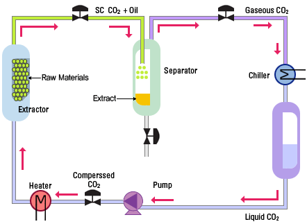 초임계이산화탄소 추출공정